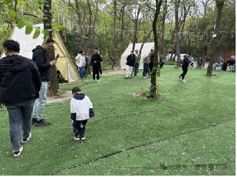 1725432109911360.png 2.新聞資訊501.png